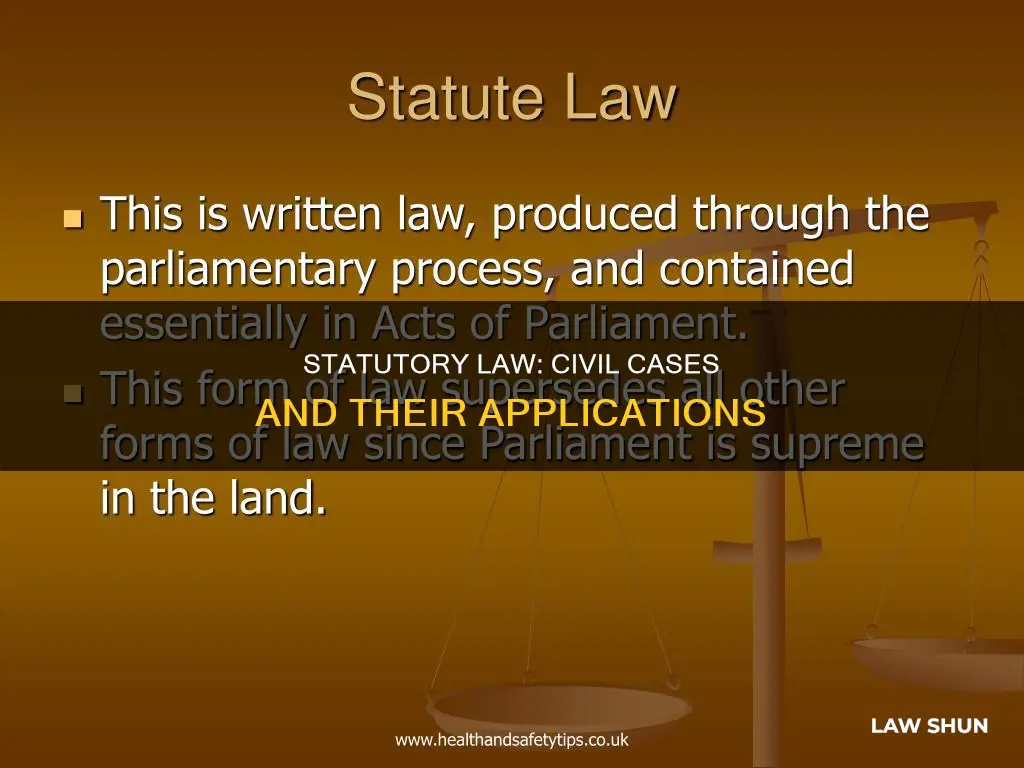 does statutory law apply to civil cases