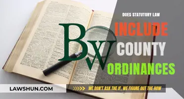 Understanding Local Governance: Do County Ordinances Fall Under Statutory Law?