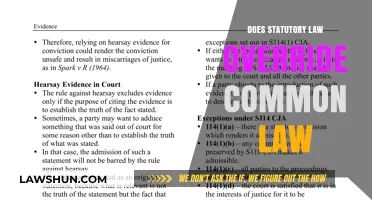 Statutory Law vs Common Law: Who Wins?