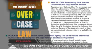 Statutory Law vs Case Law: Who Wins?
