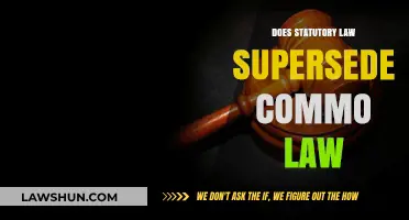 Exploring the Supremacy of Statutory Law Over Common Law