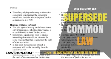 Statutory Law vs Common Law: Who Wins?