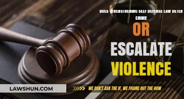 Self-Defense Laws: Deterring Crime or Fueling Violent Escalation?