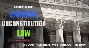 Does the Supreme Court Examine Unconstitutional Laws? A Legal Analysis