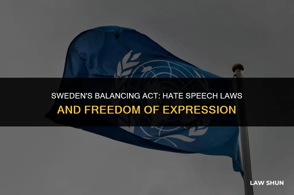 does swedeb gace hate speach laws