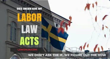 Exploring Sweden's Labor Laws: Key Acts and Worker Protections