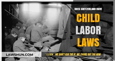 Switzerland's Child Labor Laws: Protections, Regulations, and Workplace Rights Explained