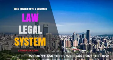 Taiwan's Legal System: Common or Civil Law?