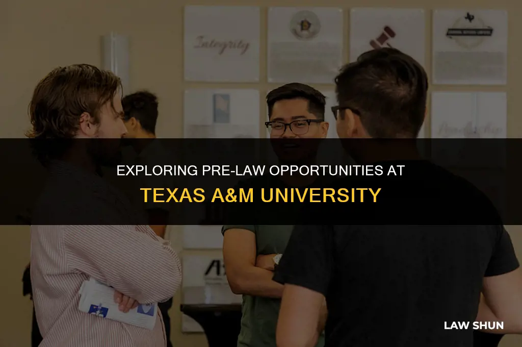 does tamu have pre law track