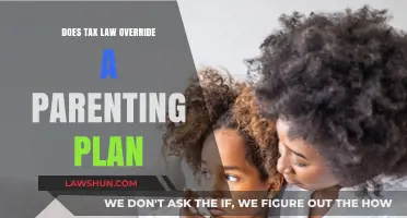 Tax Law vs Parenting Plans: Who Wins?