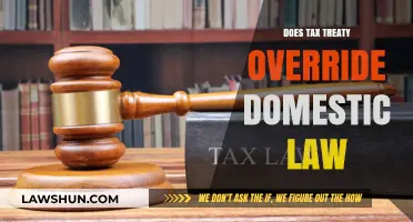 Tax Treaties: Do They Trump Domestic Laws?