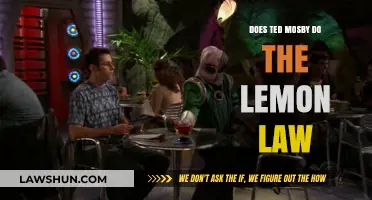 Does Ted Mosby's Dating Saga Qualify for the Lemon Law?