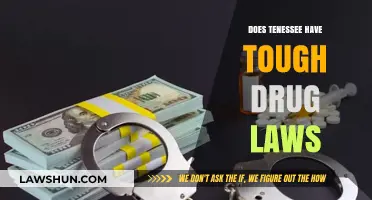 Exploring Tennessee's Drug Laws: Are They Tough Enough?