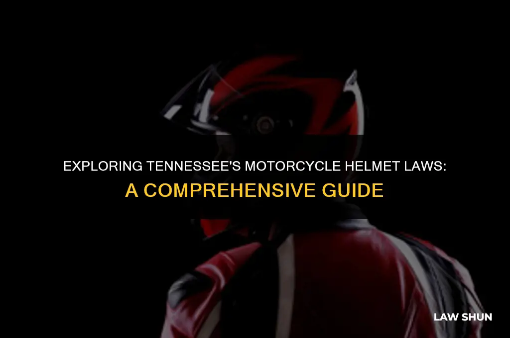 does tenn have a helmet law