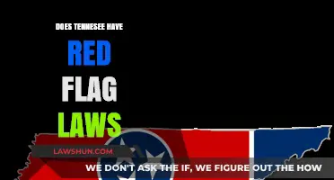 Exploring Tennessee's Stance on Red Flag Laws: A Comprehensive Overview