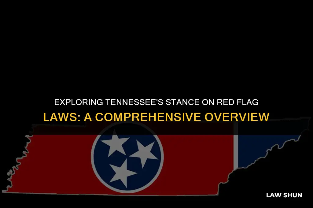 does tennesee have red flag laws