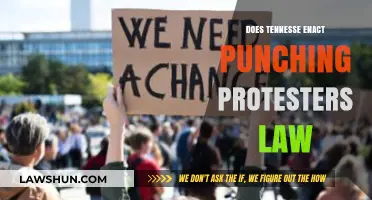 Tennessee Enacts Controversial 'Punching Protesters' Law: A Deep Dive