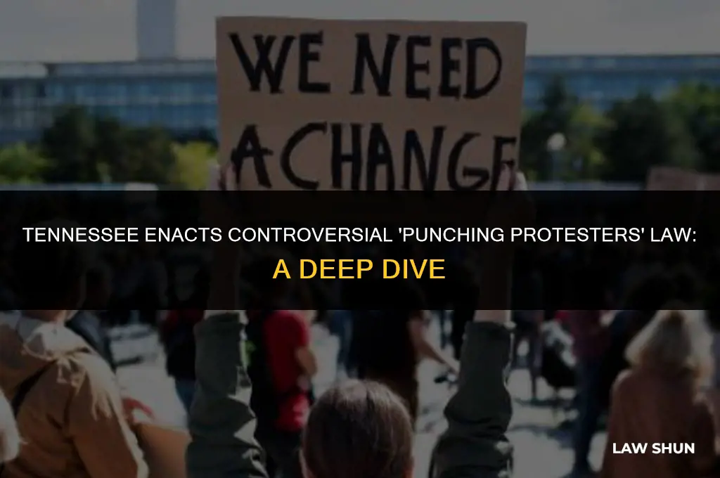 does tennesse enact punching protesters law