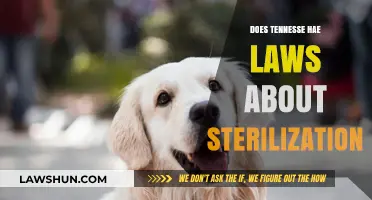 Understanding Tennessee's Legal Stance on Sterilization Procedures