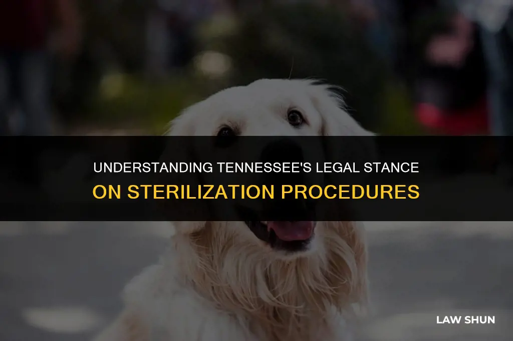 does tennesse hae laws about sterilization