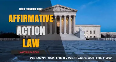 Understanding Affirmative Action Laws in Tennessee: A Comprehensive Guide