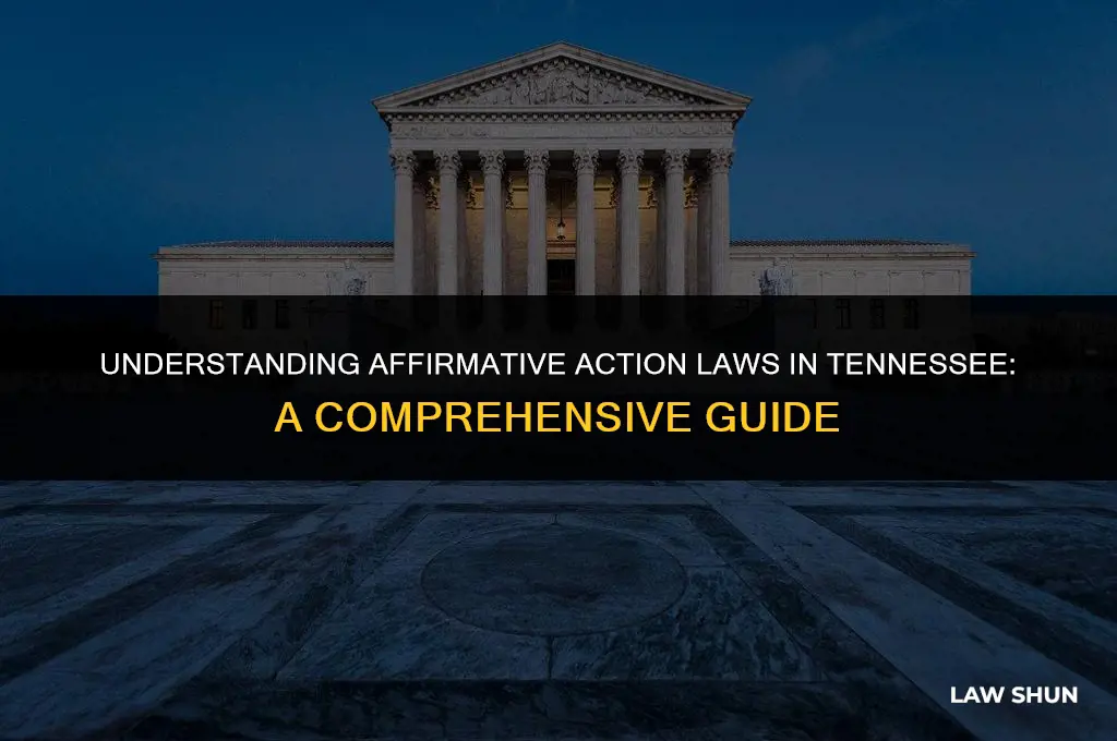 does tennesse have affirmative action law