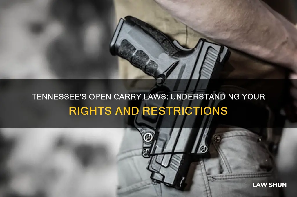 does tennesse have open carry laws