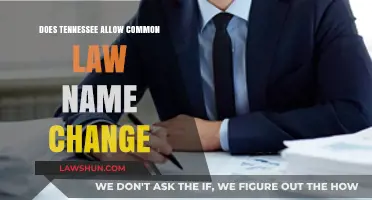 Tennessee's Stance on Common Law Name Change
