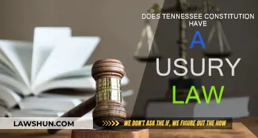 Tennessee Constitution: Usury Law and Its Impact