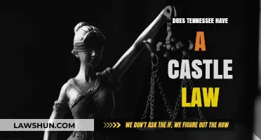 Exploring Tennessee's Castle Law: Myths, Facts, and Real-Life Implications