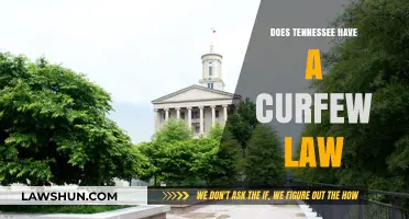 Understanding Tennessee's Curfew Laws: A Comprehensive Guide