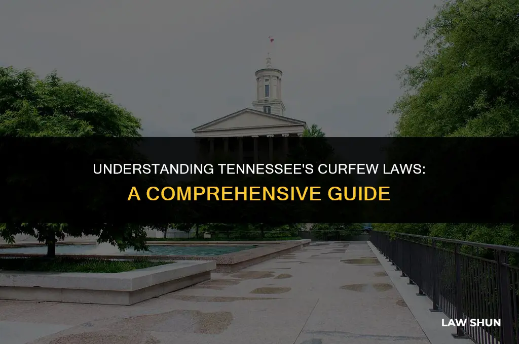 does tennessee have a curfew law