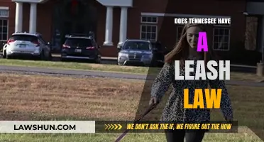 Understanding Tennessee's Leash Laws: A Comprehensive Guide for Pet Owners