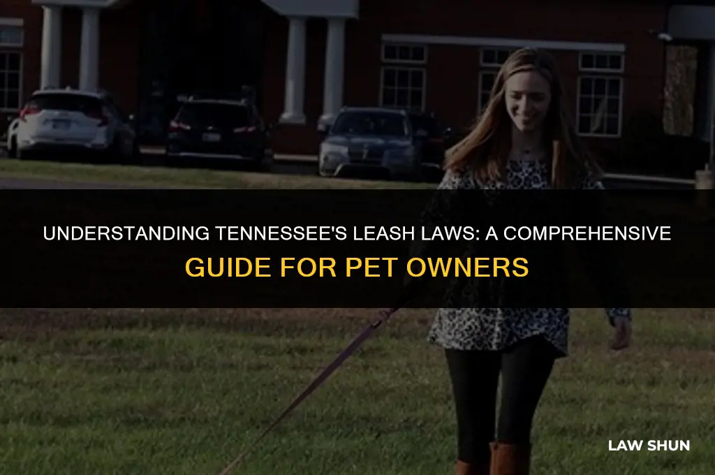 does tennessee have a leash law