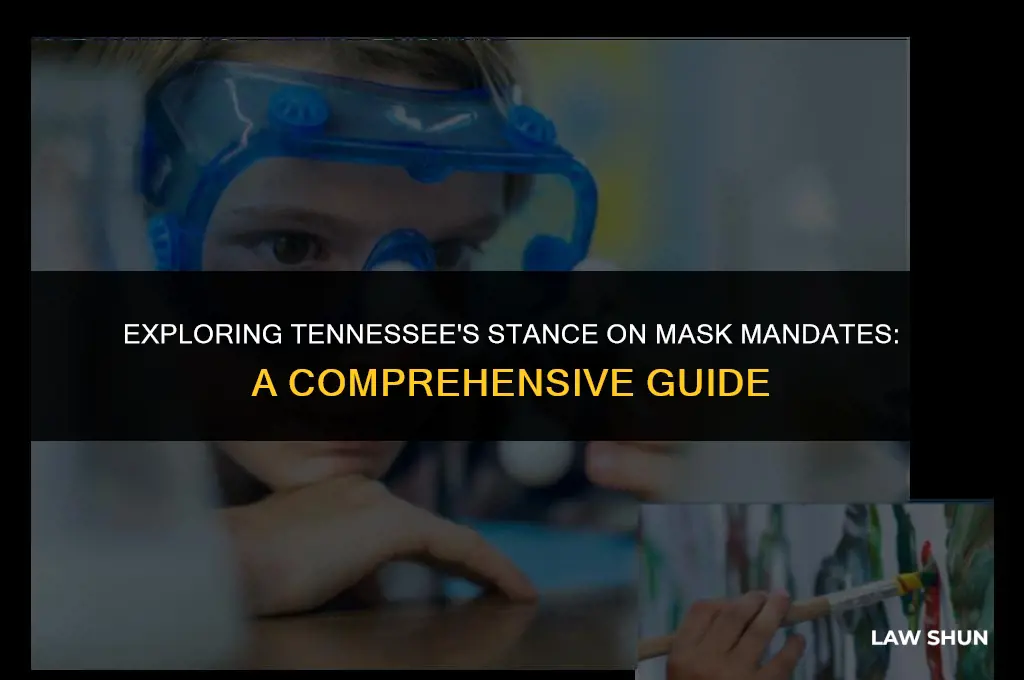 does tennessee have a mask law