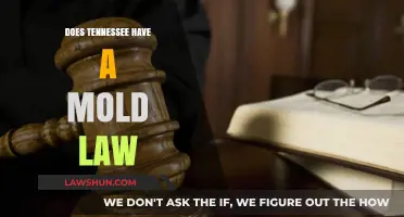 Understanding Tennessee's Mold Legislation: A Comprehensive Guide