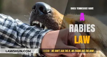 Understanding Tennessee's Rabies Laws: A Comprehensive Guide
