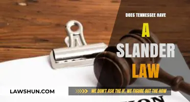 Understanding Slander Laws in Tennessee: A Comprehensive Guide