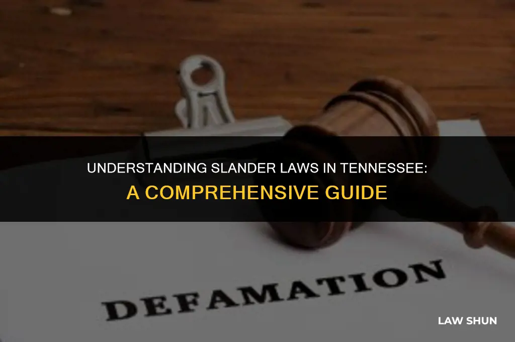 does tennessee have a slander law