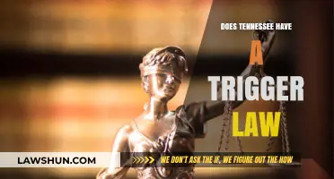 Exploring Tennessee's Legal Landscape: The Trigger Law Debate