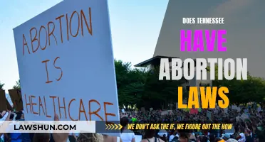 Tennessee's Abortion Laws: Understanding the Current Landscape