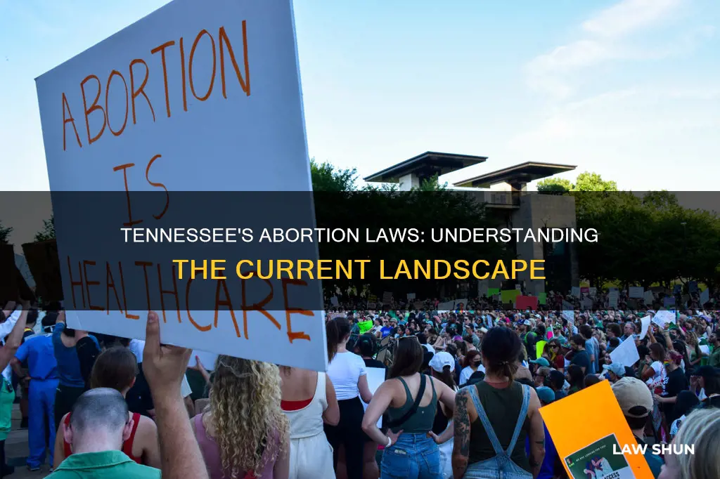 does tennessee have abortion laws