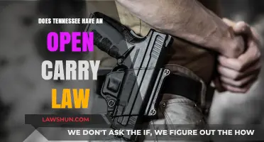 Tennessee's Open Carry Law: Understanding Your Rights and Restrictions