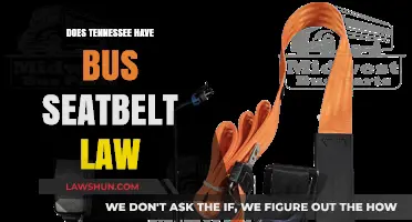 Exploring Tennessee's Bus Seatbelt Laws: A Comprehensive Guide