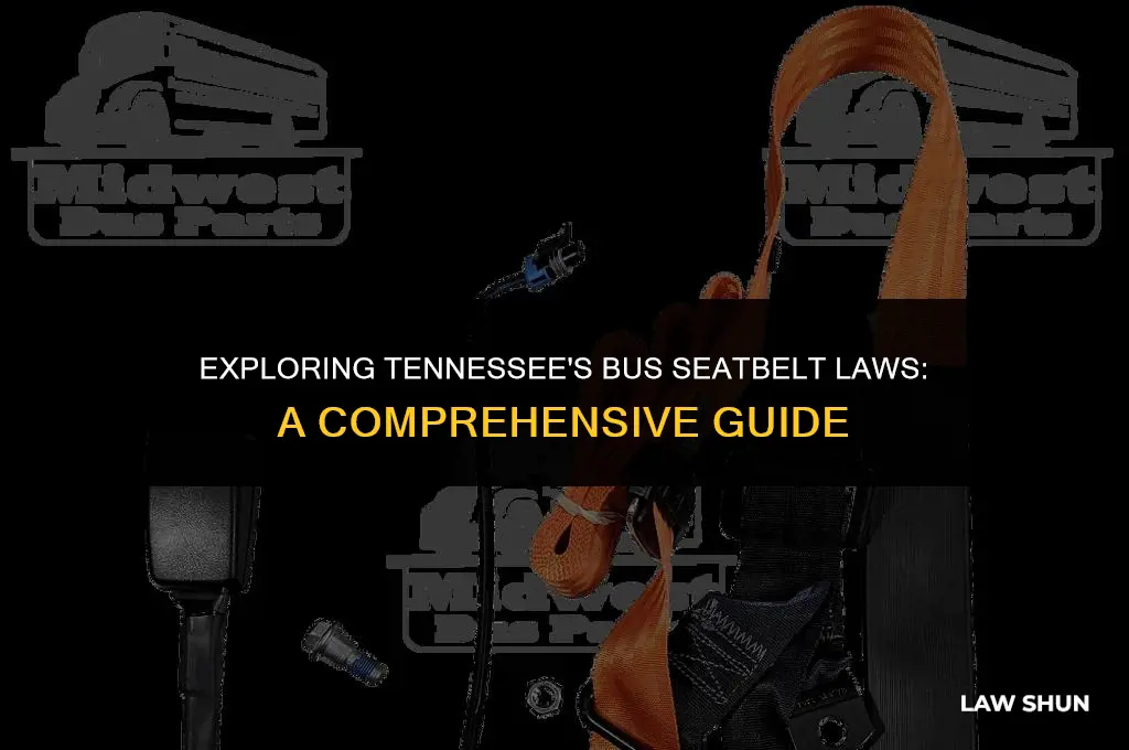 does tennessee have bus seatbelt law