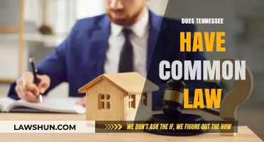 Tennessee's Common Law: What You Need to Know