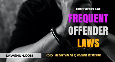 Understanding Tennessee's Approach to Frequent Offender Legislation