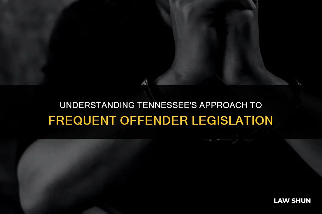 does tennessee have frequent offender laws