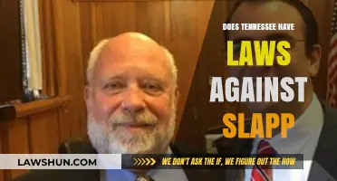 Understanding Tennessee's Legal Stance on SLAPP Lawsuits