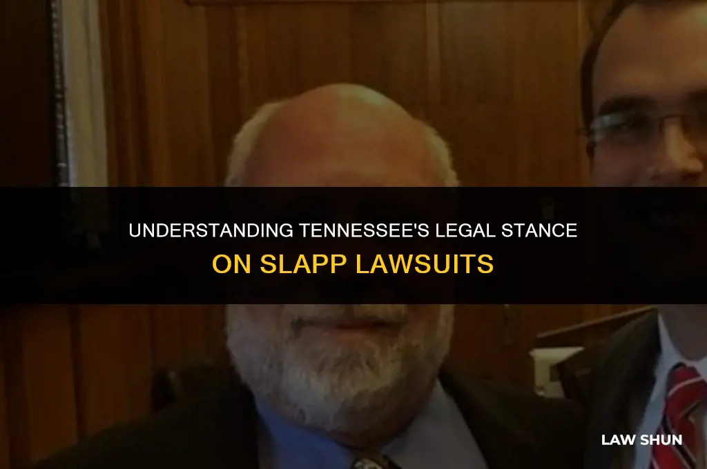 does tennessee have laws against slapp